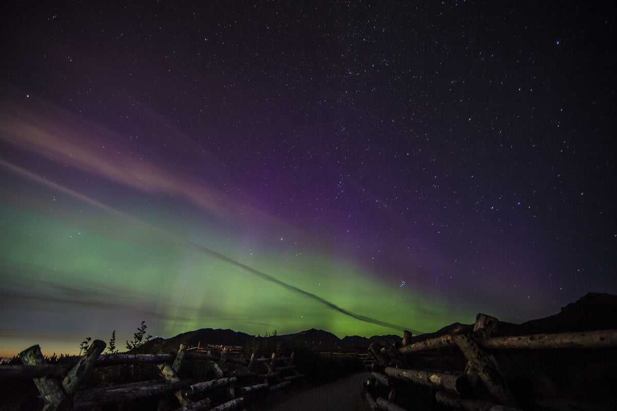 Doro Aurora