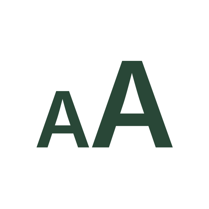 Adjustable Font Size